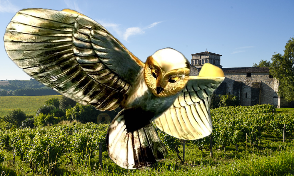 Golden Owl Hunt-Extra Clues